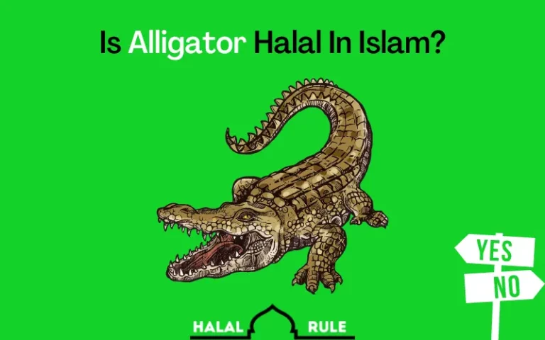 Is Alligator Halal In Islam? (Crocodile Meat) Yes/No