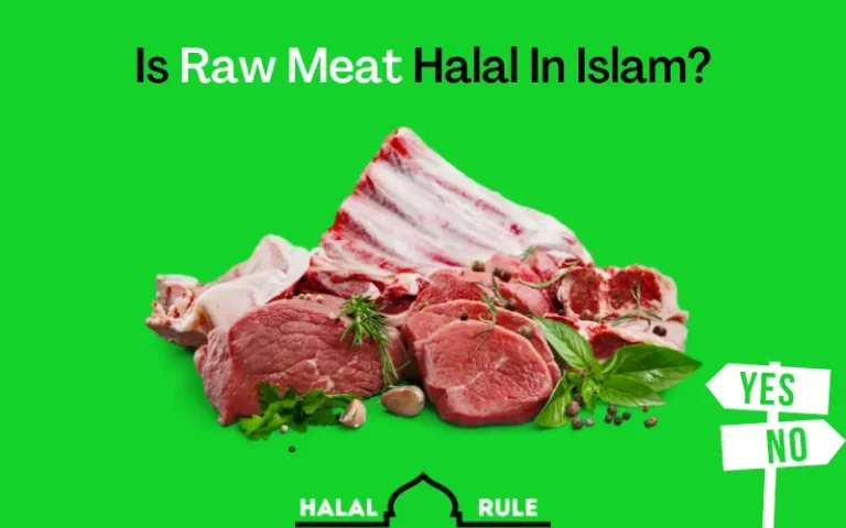 Is Raw Meat Halal In Islam? (Yes/No)