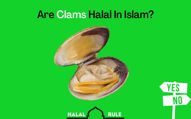 Are Clams Halal