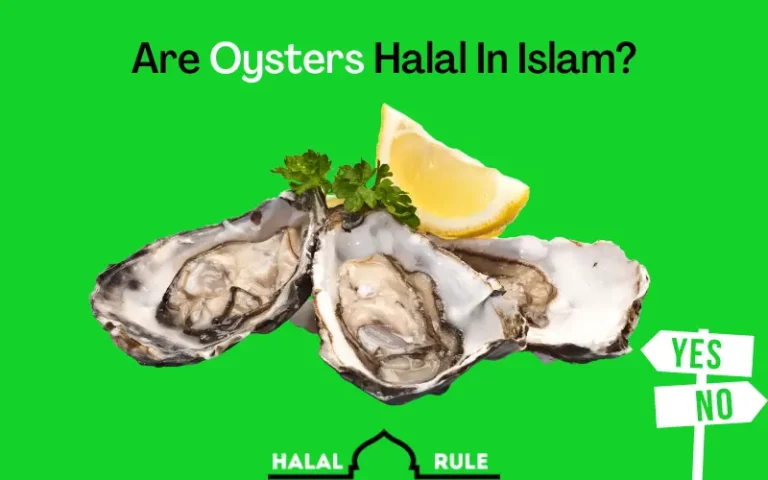 Are Oysters Halal Or Haram In Islam? (With Proof)