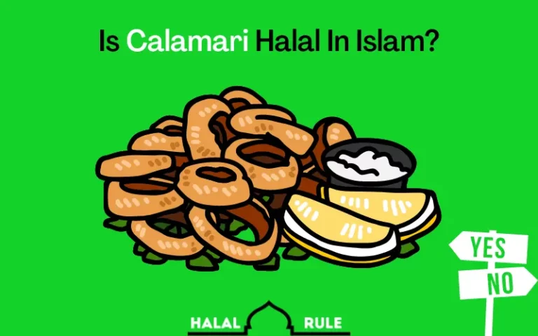 Is Calamari Halal In Islam? (Yes/No)