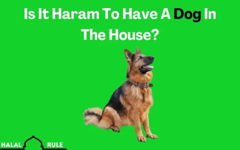 Is It Haram To Have A Dog In The House In Islam?
