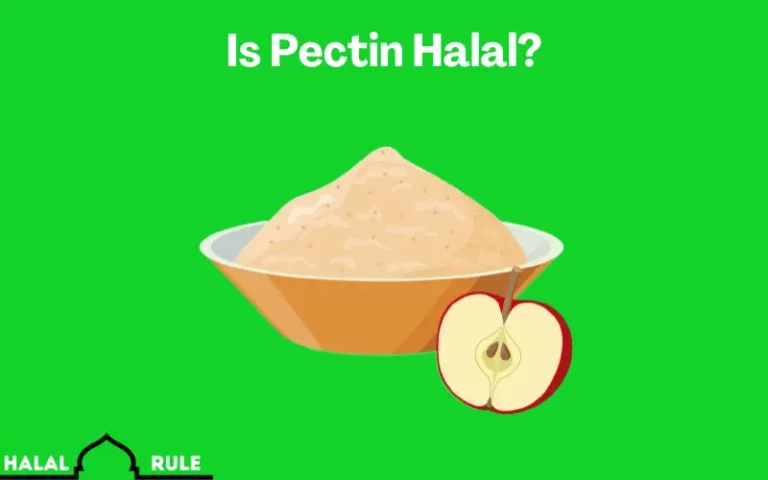 Is Pectin Halal Or Haram? Gelling Agent?