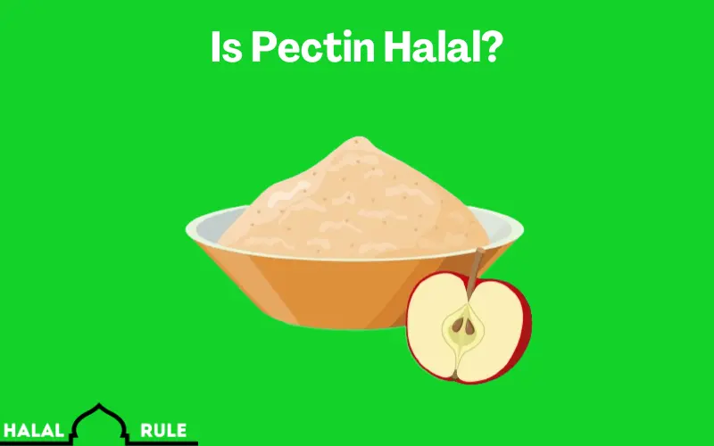 Is Pectin Halal