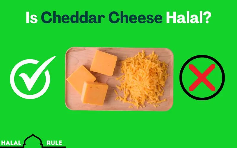 Is Cheddar Cheese Halal