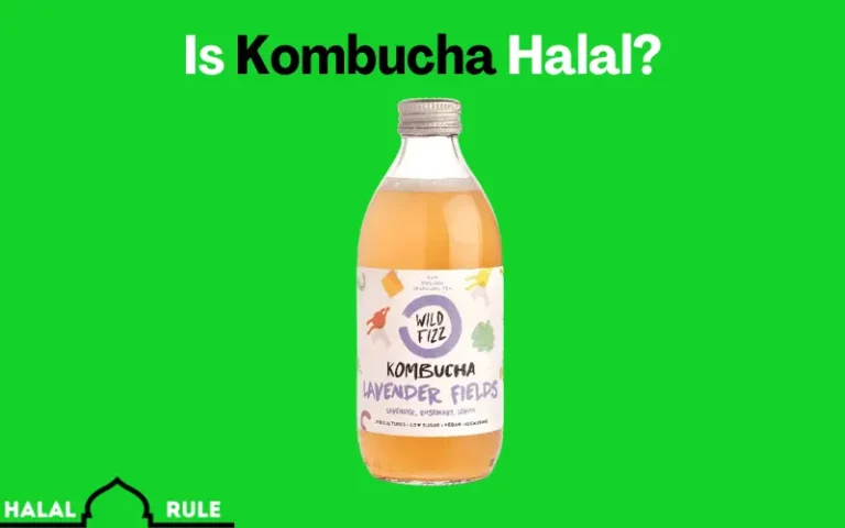 Is Kombucha Halal In Islam?