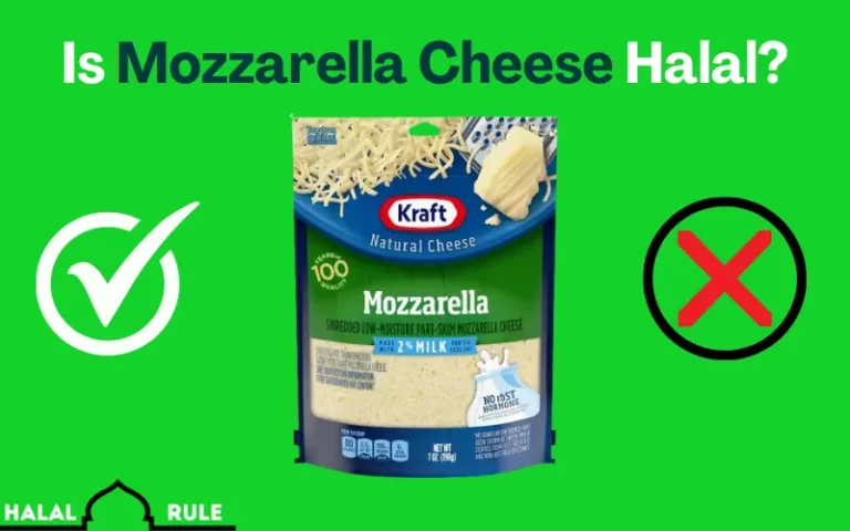 Is Mozzarella Cheese Halal Or Haram? 2024