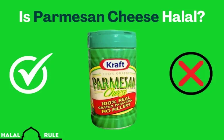 Is Parmesan Cheese Halal Or Haram In Islam?