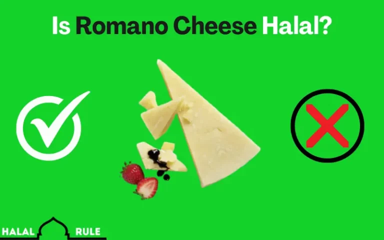 Is Romano Cheese Halal Or Haram In Islam?