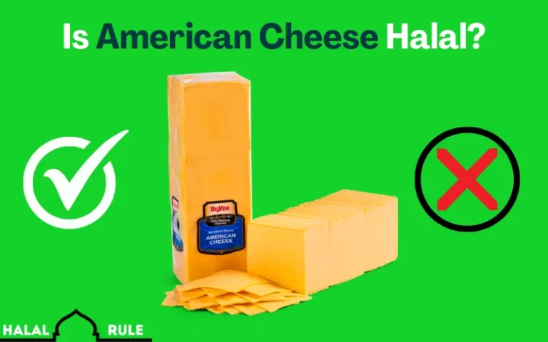 Is American Cheese Halal?