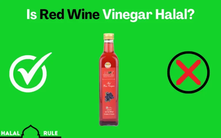 Is Red Wine Vinegar Halal In 2024?