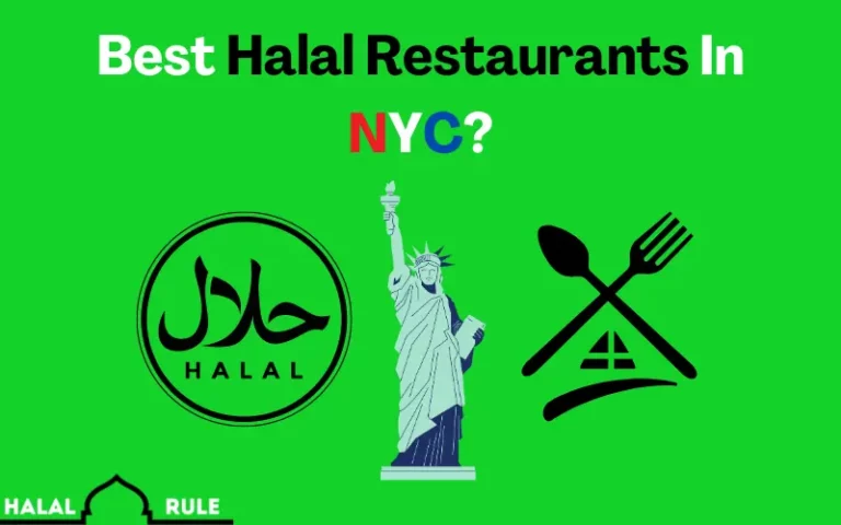 Best Halal Restaurants In NYC (Complete List) 2024