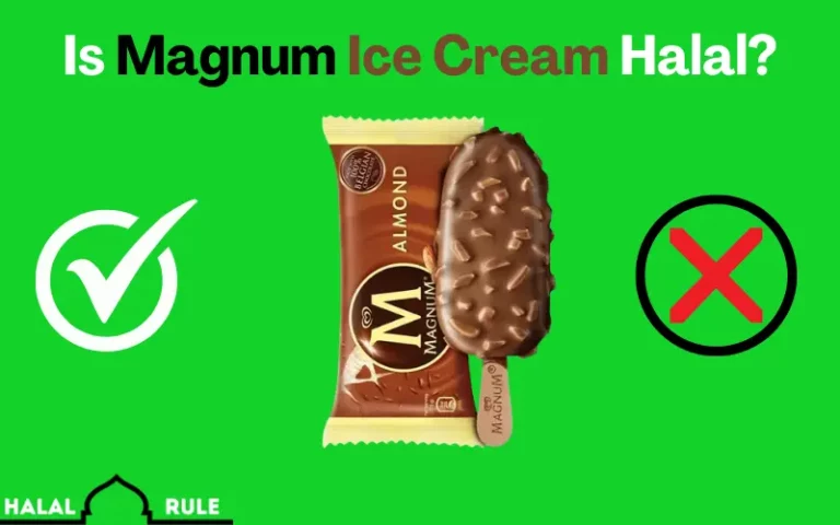 Is Magnum Ice Cream Halal? 2024