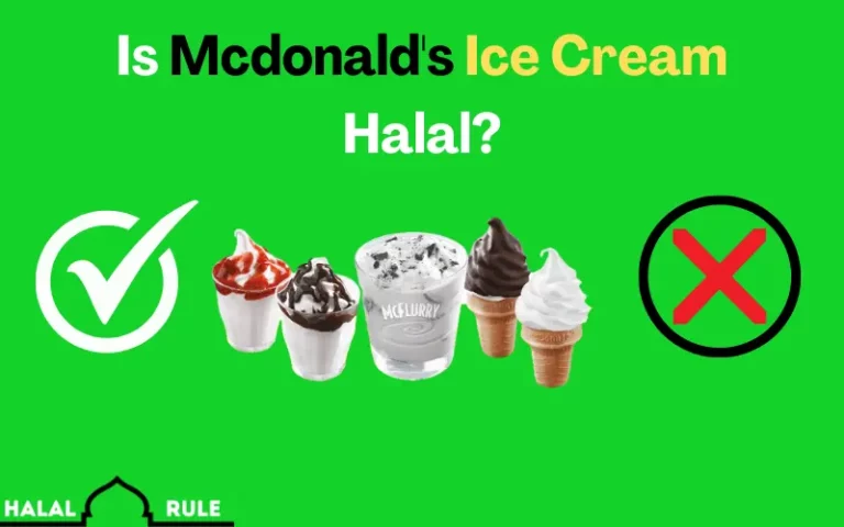 Is Mcdonald’s Ice Cream Halal? 2024