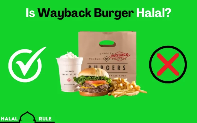 Is Wayback Burger Halal? 2024